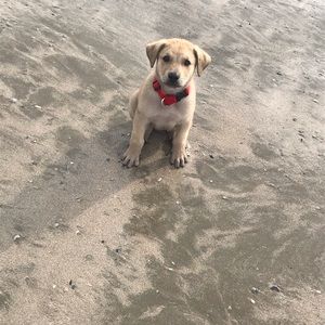 Meet your Posher, Gabi